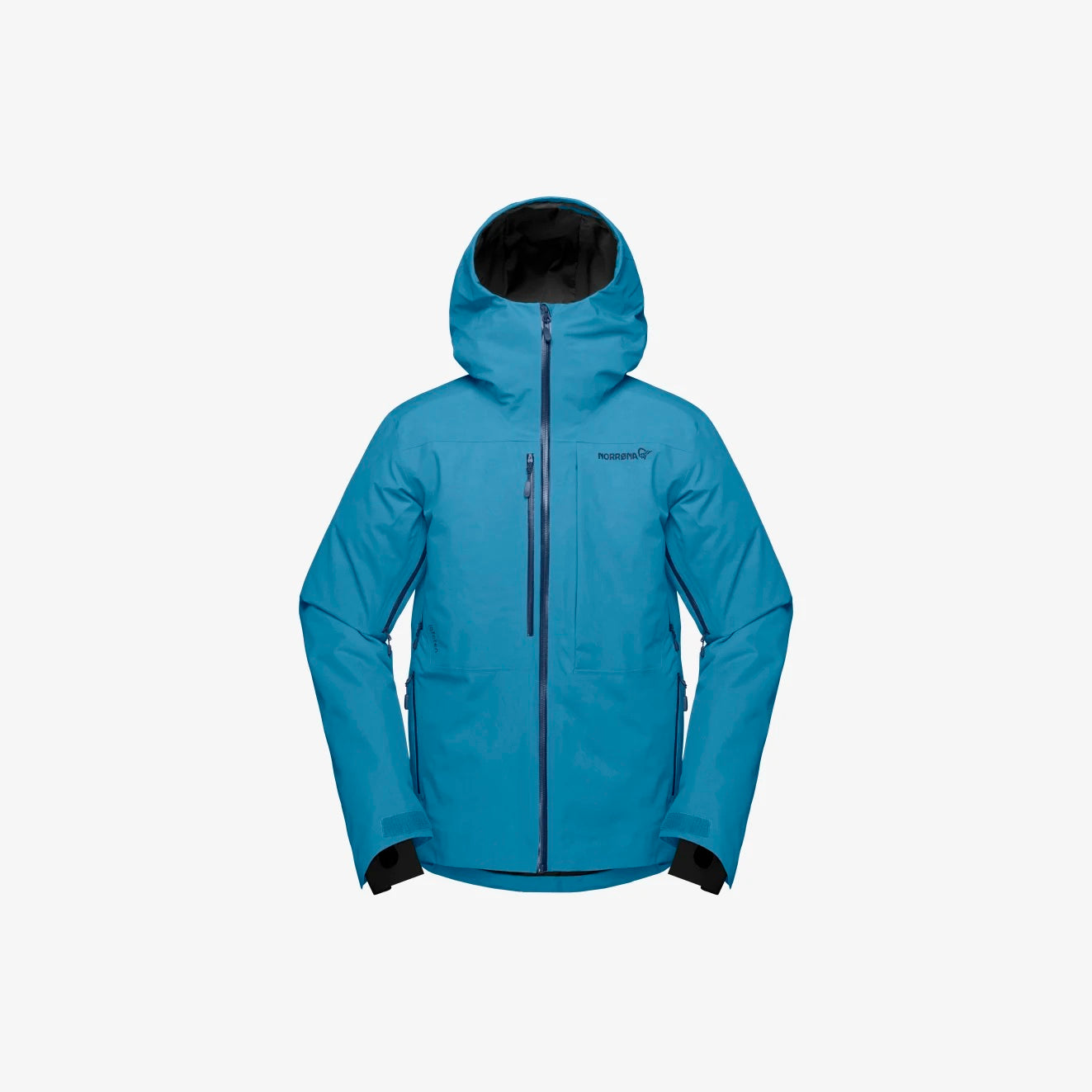Men's Lofoten Gore-Tex Insulated Jacket